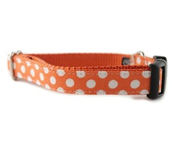 Orange Dog Collar – Orange White Polka Dot Dog Collar – Tangerine Dot Dog Collar