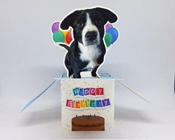 Custom Pet Photo Pop-Up Greeting Card | Birthday Card