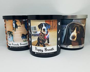 9oz. Custom Pet Photo Soy Candle