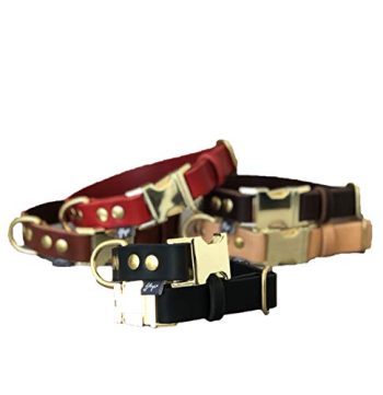 Quick Release Dog Collar in Black Leather and Brass Hardware, Ideal for Large and Medium Breeds, Colorful Dog collar, Dog Collar