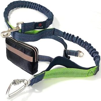 Enthusiast Gear Hands Free Dog Leash with Locking Carabiner | Weatherproof, Zipper Pouch, Dual Padded Handles and Durable Bungee for Walking, Jogging, Hiking and Running (Gray/Bright Green, Large)