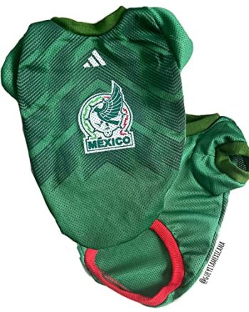 Mexican soccer jersey 2022 (XXX-large, Plain)