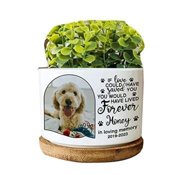 In Loving Memory Customized Image Date and Name Memorial Pet Loss Small Plant Pot With Bamboo Tray Flower Succulent sympathy Dog Cat Lover Remembrance Pawprints Keepsake bereavement HG