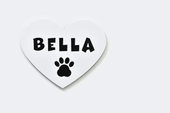 Dog Name Sign Heart Shape, White and Black Acrylic Sign, Personalized Dog Name Sign, Pet Sign, Dog House Sign