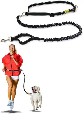 Hands Free Dog Leash by Hertzko – Enjoy The Extra Freedom While Walking, Running or Hiking with Your Dog – Strong, Durable and Weather Resistant (48 inches Bungee)