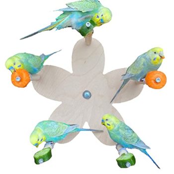 Ferris Wheel Toy for Birds with 5 Food Holder Perches