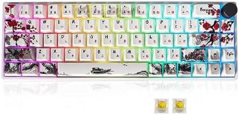 MOLGRIA GK68 68-Key RGB Backlit Gaming Keyboard with Plum Blossom Keycaps, Hot Swappable Yellow Mechinery Gateron Switches, Wired and Wireless with Knob Mechanical Keyboard for Win/Mac OS